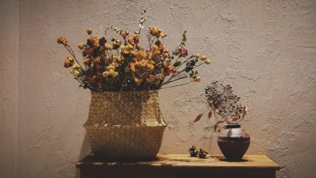 北京初雪就是中式美学天花板