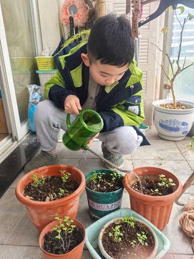 爱植树下载皮肤迷你世界（​植树节​盲盒开出惊喜植树节校园里仪式感拉满）