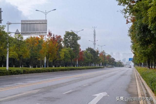 秋染宜居城——深秋的昆阳藏着最惬意的生活模样