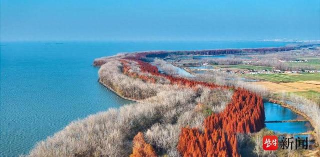 智者勇进•接续奋进新江苏|“洪”运当头 “泽”享新年——洪泽邀您共赴新春之约