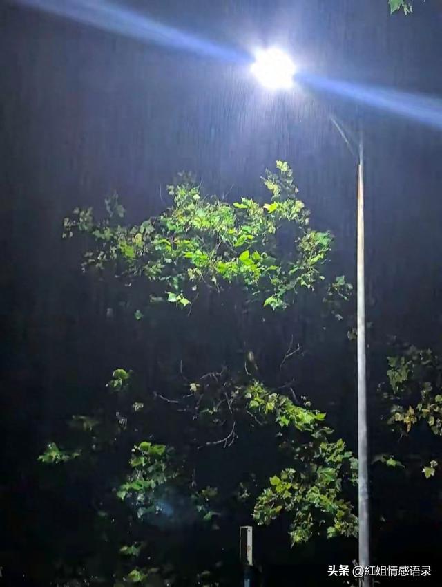 觉得自己没朋友的说说（昨天晚上我一个人坐了很久）