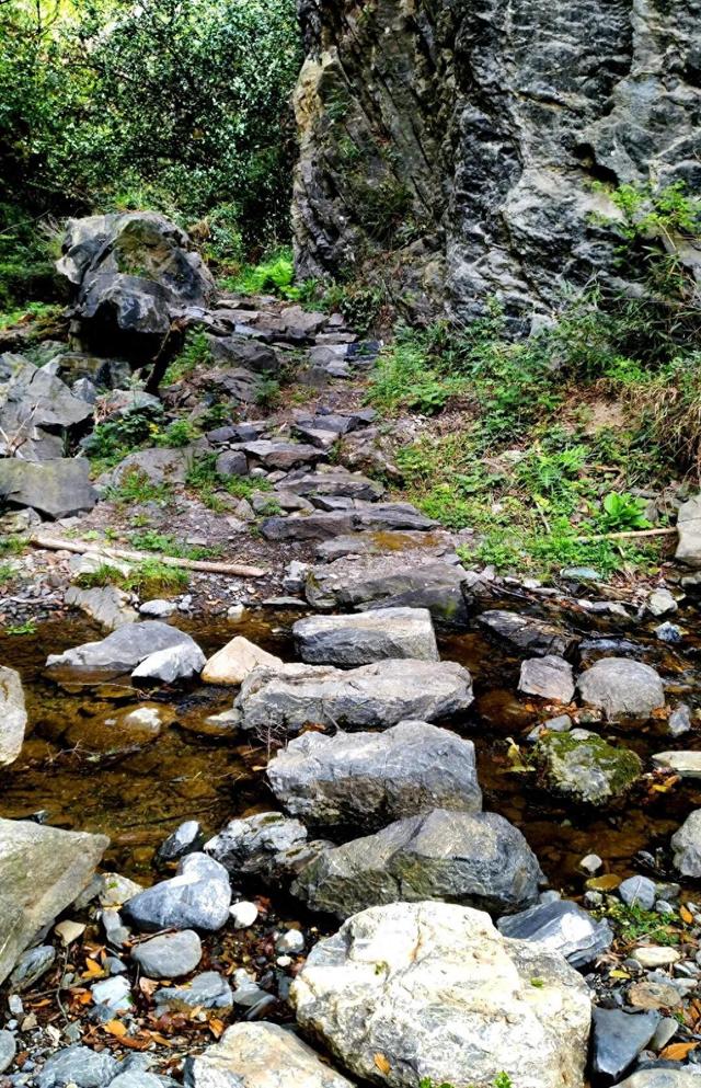肖娴：马蹄和茶记住的古道