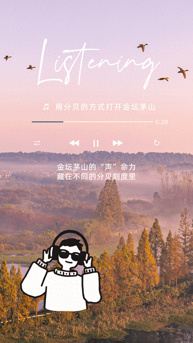 嘘~当你用分贝的方式打开冬日的金坛茅山，会听到……