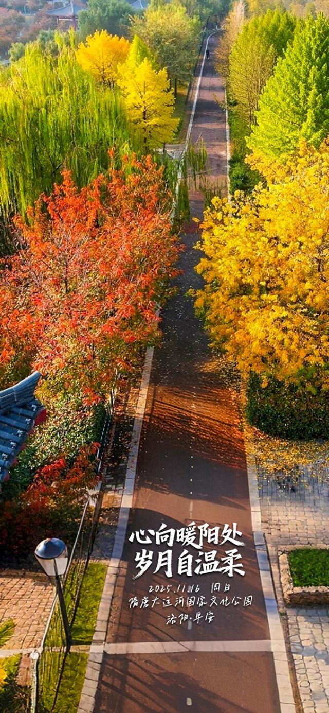 洛阳·早安|心向暖阳处 岁月自温柔