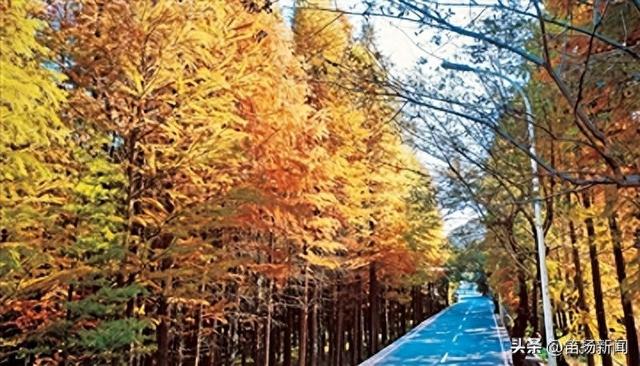 平王线秋色如画