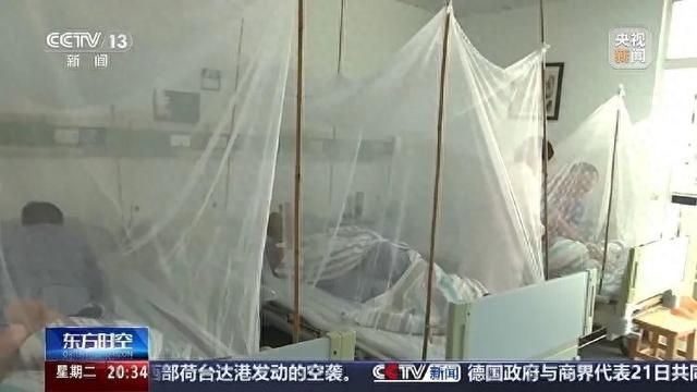 广东基孔肯雅热确诊2659例，定点收治机构加装蚊帐，核酸检测阳性需住院，专家：疫情防控正处关键时期