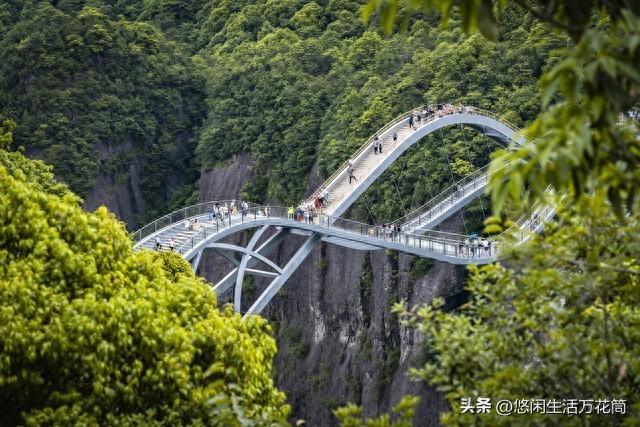 景区吊桥断裂瞬间：29人坠落，有人再也没醒来！被忽略的致命细节
