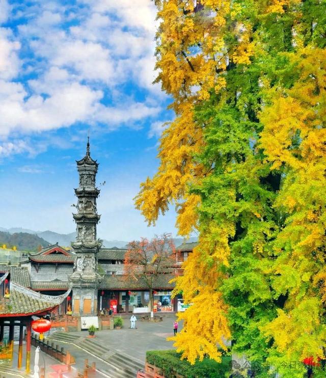 预告 | 崇州康养旅游产业链专场活动又来啦