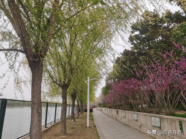 形容说话的词语（六年级语文上册第6课狼牙山五壮士基础知识考点梳理）