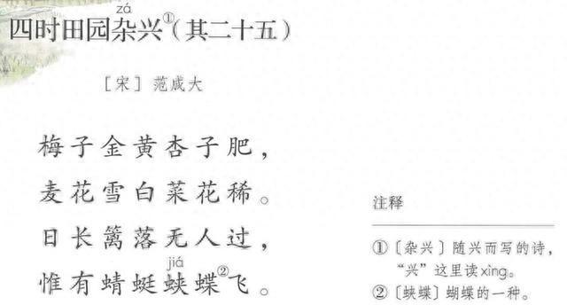 蜓怎么组词（统编版四年级语文下册课时预习单古诗词三首第二课）