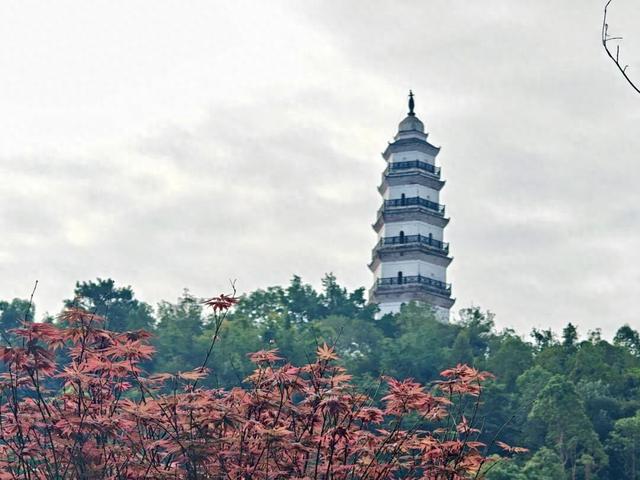 遛娃宝藏地+1！家门口的公园正焕新升级！