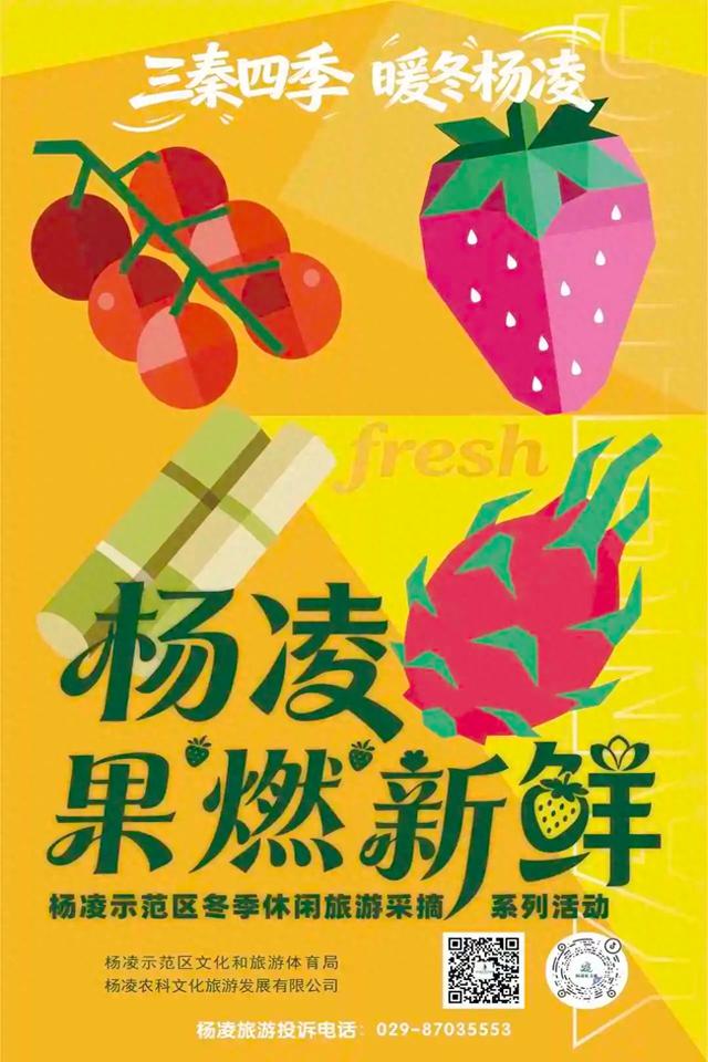 “三秦四季 暖冬杨凌” ——杨凌冬季旅游采摘系列活动正式启动