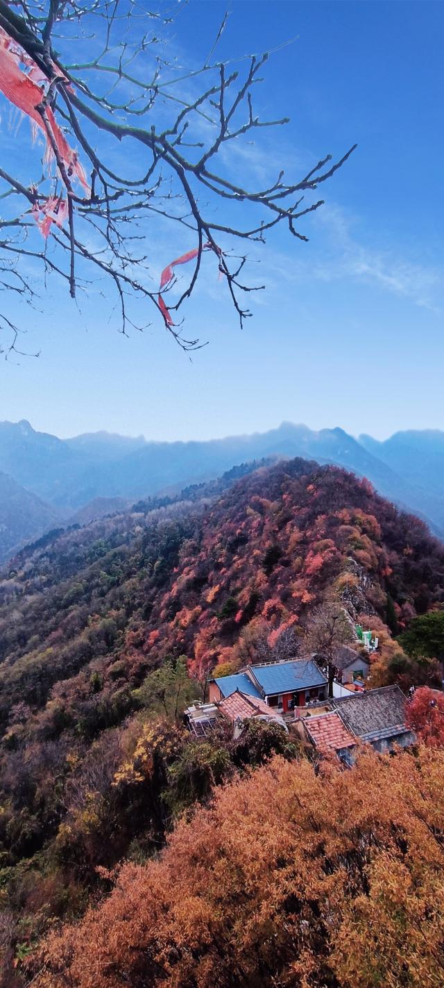 最爱秋意行不足 再上翠华赏秋色