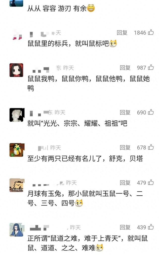 东湖快语｜为“太空小鼠”取名，在科技与文明的尺度上镌刻郑重的一笔