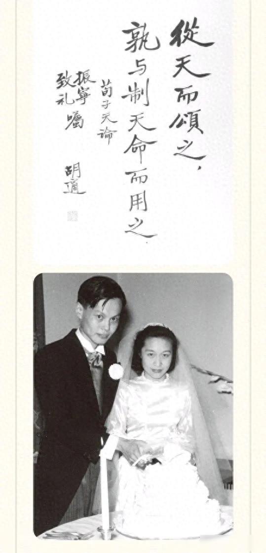 杜致礼年轻时有多美	，胡适去杨振宁家中做客，提字并赞扬她的美貌