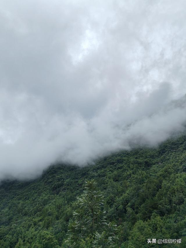 在江津四面山景区看了瀑布爬了梯，又坐了超级滑道听了潺潺流水声
