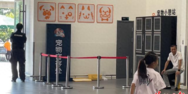 迷你世界购物免费（遛狗购物两不误 武汉一超市推出免费宠物寄存）