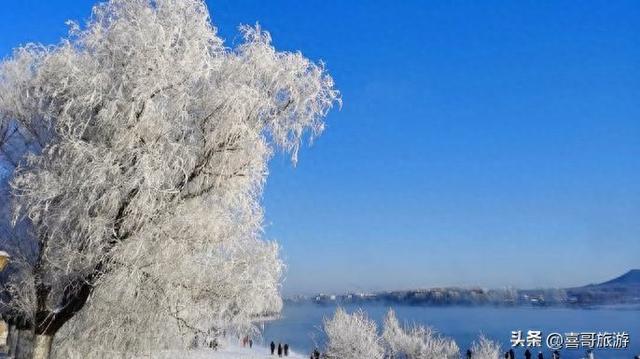 逊克雾凇秘境：北纬49°的冰雪童话史诗