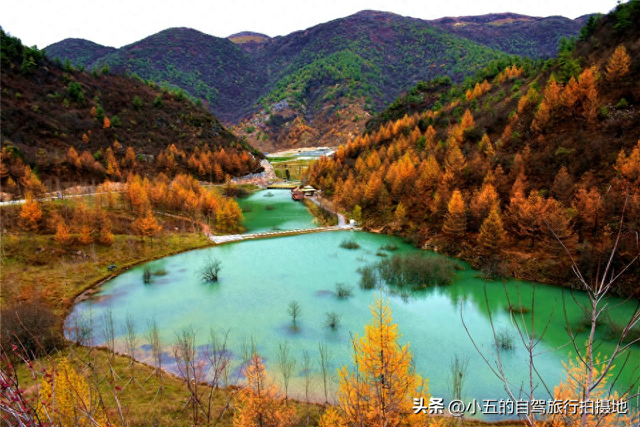 巫溪疯了！此生必去的秘境天堂，景点美食让你哭着不想走！
