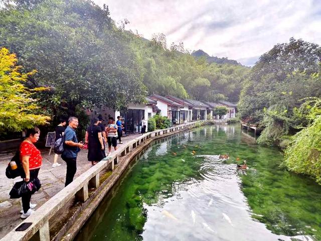 创建国家级旅游度假区：姑婆山旅游度假区“一路生花”