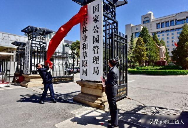 林草局回来了，基层却喊累，谁来管住那片绿？
