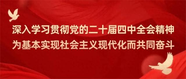 初冬的风里竟有了粉色的“味道”!就在龙潭公园里~