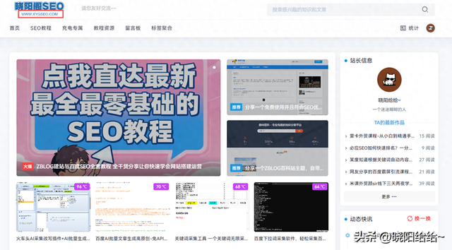 免费学习seo技术（不只是理论免费SEO视频教程实战手把手带你做SEO）
