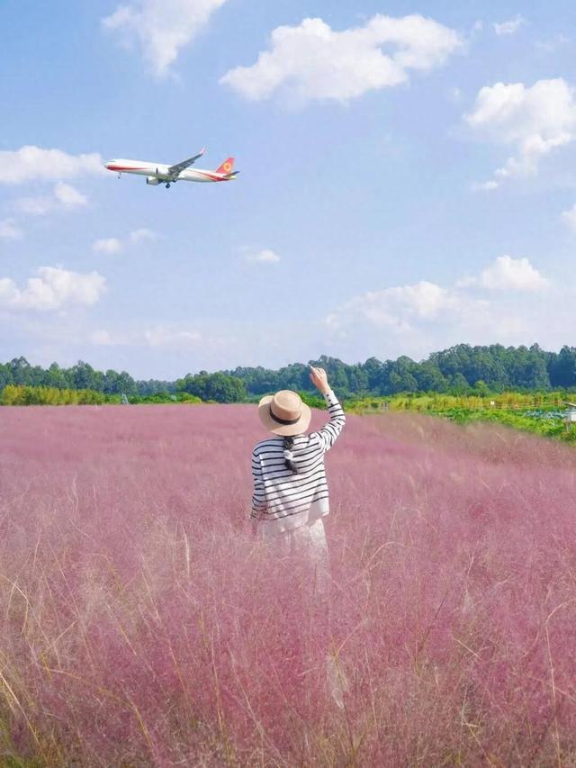 滴！赏秋“快递员”小园，持续为您派件→