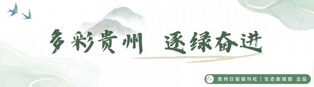 【生态文化】“湿地小卫士”持证上岗!贵阳阿哈湖小小讲解员开讲啦