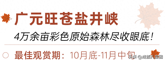 成都不远！这三个地方的红叶，美得很超过！