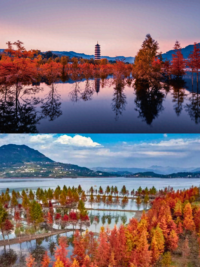 初冬必去，这里的水上彩林美成油画！