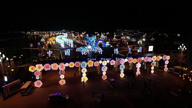 2天4万人次！花博园山海灯会热度持续升温