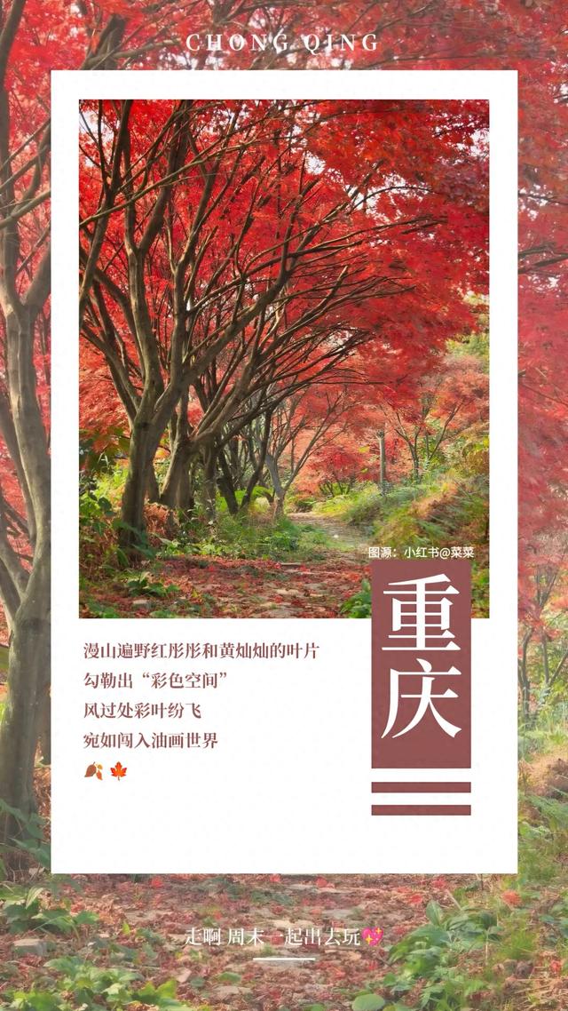 此时不看,再等一年!红了,冲冲冲!