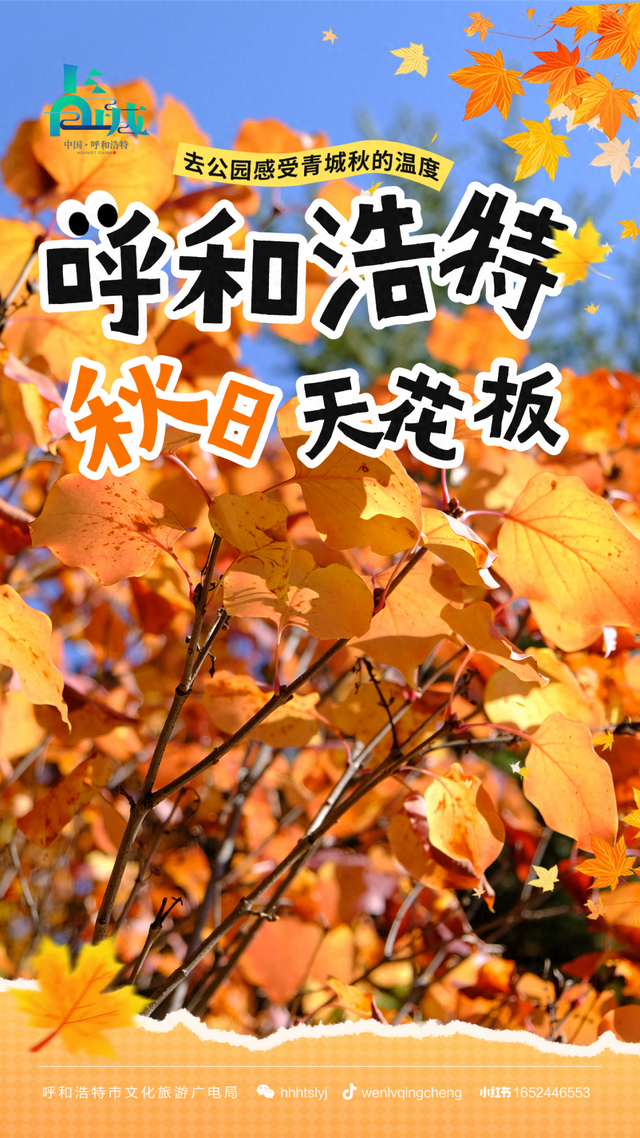 美到犯规！青城的秋，从不偏心南北