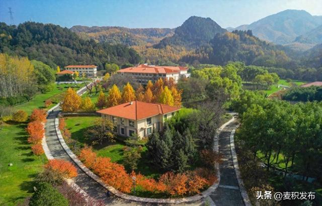 【东方微笑 多彩麦积】摄影师看麦积 | 初冬和谐园景色如画（上）