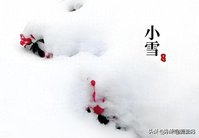 今日小雪，老人说“最怕小雪一日晴”，到底在怕什么？答案来了