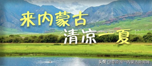 来内蒙古清凉一夏 | 带你参加一场那达慕