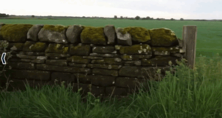 电脑神庙逃亡制作代码（开源版Genie 3世界模型实时长时间交互单卡可跑国内公司出品）