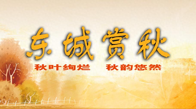 不必扎堆地坛公园！东城区赏秋攻略，一图收藏