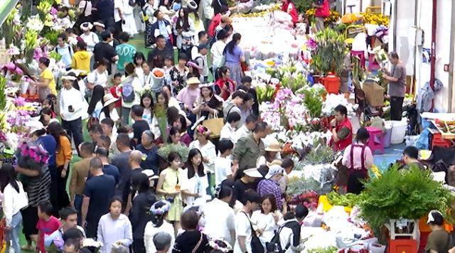 昆明这个地方开启“人人人人”模式！游客：很震撼!