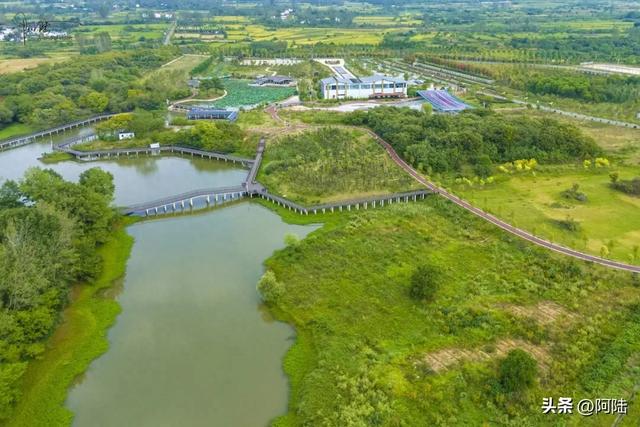 河南信阳的龟山湖景区不仅能免费玩，还能免费露营和摘板栗