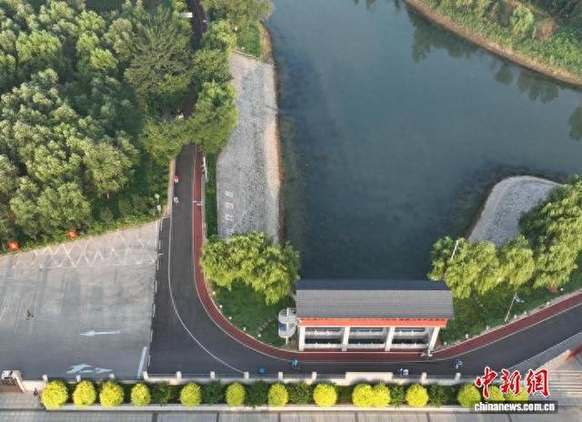 沧县大运河畔堤顶路：独具特色的绿色生态廊道