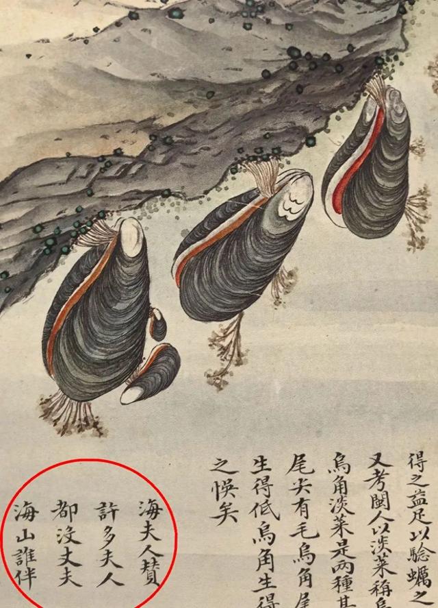 这画，真实又让人脑洞大开！