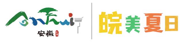古树观鸟“宝藏图鉴”，带您指尖出发！解码年轮密码，捕捉飞鸟轨迹～ | 皖美夏日