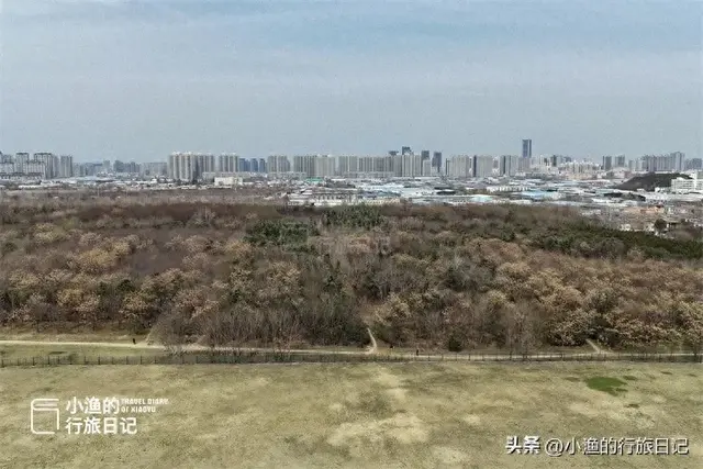 西安“天下第一宫”，是世界最大宫殿基址，面积相当2/3个故宫