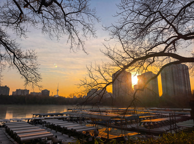 赴一场紫竹院的冬日之约，在夕阳里撞见满院温柔