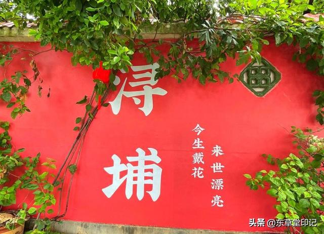 探秘石狮黄金海岸洛迦寺：海上佛国的千年禅韵与滨海秘境