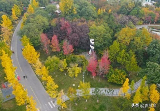 "西安世博园：免费4A级秋色天堂