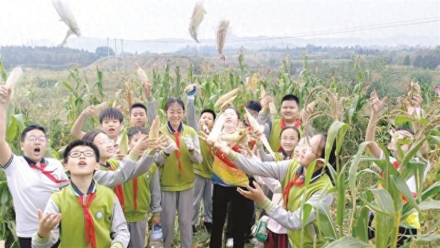 公益劳动社会实践报告范文（采摘丰收果 体会劳动美阳泉市洪城河小学秋收实践活动小记）