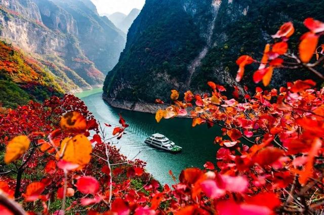 浪花与云的约定，烟台与巫山写就跨越山海的浪漫情书